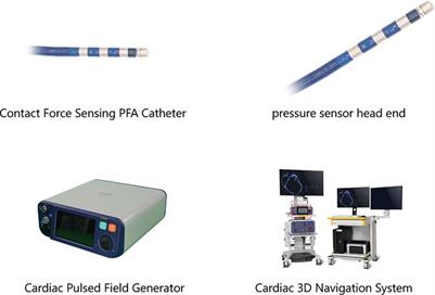 Preclinical evaluation of reversible pulsed electrical field: electrophysiological and histological assessment of myocardium